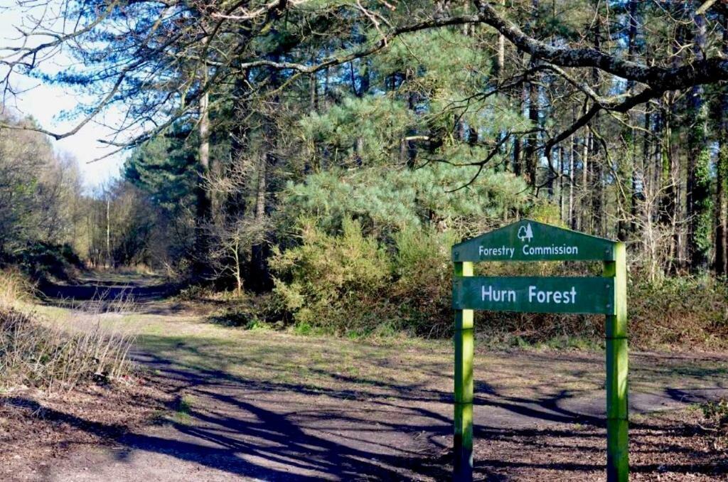 Forest View At Oakdene Forest Park - Leisure Passes Included! リングウッド エクステリア 写真